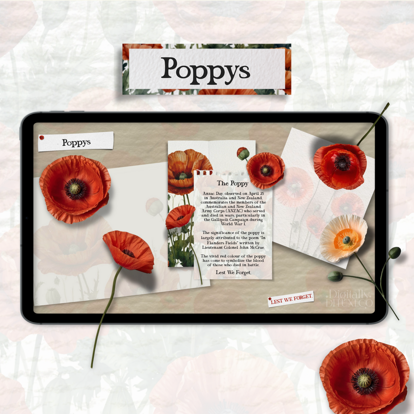 The Poppy Collection